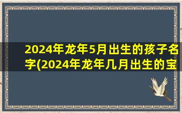 2024年龙年5月出生的孩子