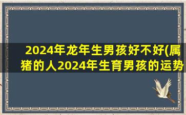 2024年龙年生男孩好不好