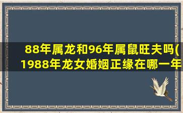 88年属龙和96年属鼠旺夫