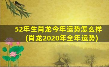 52年生肖龙今年运势怎么样