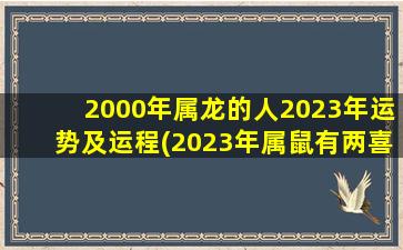 2000年属龙的人2023年运势