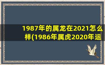 1987年的属龙在2021怎么样