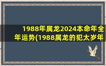 1988年属龙2024本命年全年运