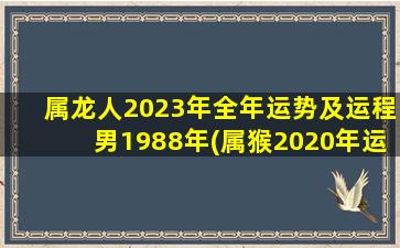 属龙人2023年全年运势及运