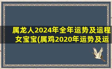 属龙人2024年全年运势及运