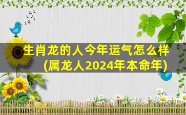 生肖龙的人今年运气怎么