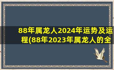 88年属龙人2024年运势及运