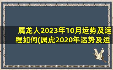 属龙人2023年10月运势及运