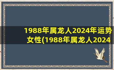 1988年属龙人2024年运势女性