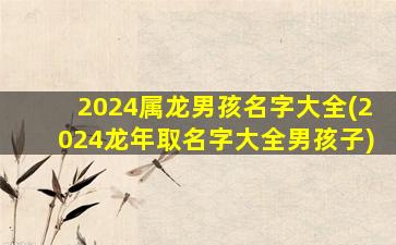 2024属龙男孩名字大全(2024龙年取名字大全男孩子)