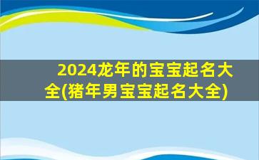 2024龙年的宝宝起名大全(猪年男宝宝起名大全)