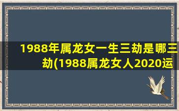 1988年属龙女一生三劫是哪