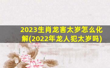 2023生肖龙害太岁怎么化