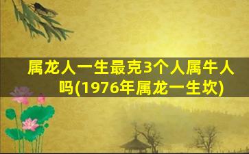 属龙人一生最克3个人属牛