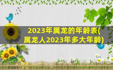 2023年属龙的年龄表(属龙人2023年多大年龄)