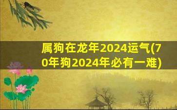 属狗在龙年2024运气(70年