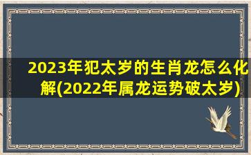 2023年犯太岁的生肖龙怎么化解(2022年属龙运势破太岁)