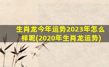 生肖龙今年运势2023年怎么