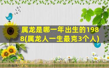 属龙是哪一年出生的1988(属龙人一生最克3个人)