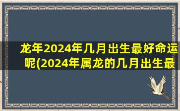 龙年2024年几月出生最好命