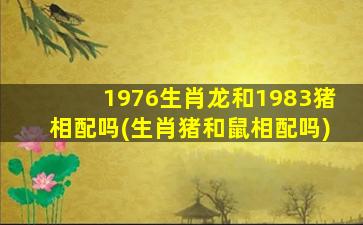 1976生肖龙和1983猪相配吗