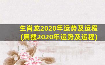 生肖龙2020年运势及运程(属猴2020年运势及运程)