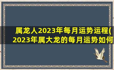 属龙人2023年每月运势运程