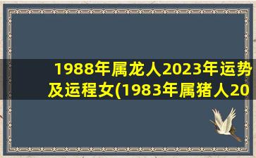 1988年属龙人2023年运势及