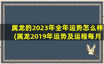 属龙的2023年全年运势怎么