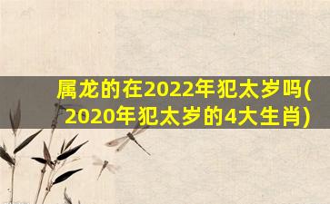 属龙的在2022年犯太岁吗(2020年犯太岁的4大生肖)