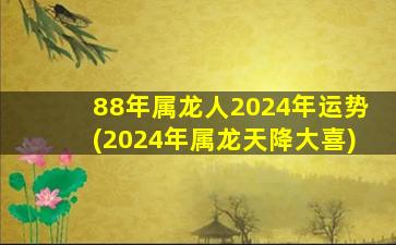 <strong>88年属龙人2024年运势(2</strong>