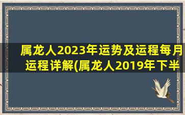 属龙人2023年运势及运程每月运程详解(属龙人2019年下半年运势)