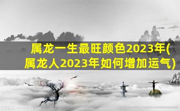 属龙一生最旺颜色2023年