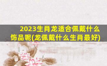 2023生肖龙适合佩戴什么饰品呢(龙佩戴什么生肖最好)