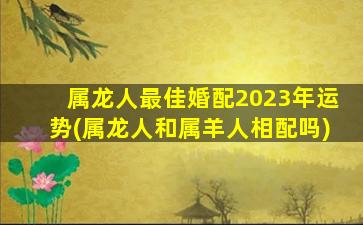 属龙人最佳婚配2023年运势