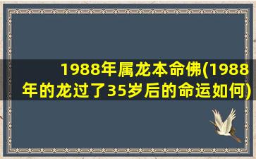 1988年属龙本命佛(1988年的龙过了35岁后的命运如何)