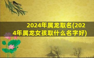 2024年属龙取名(2024年属龙