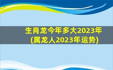 生肖龙今年多大2023年(属