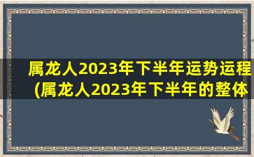 属龙人2023年下半年运势运