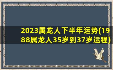 2023属龙人下半年运势(