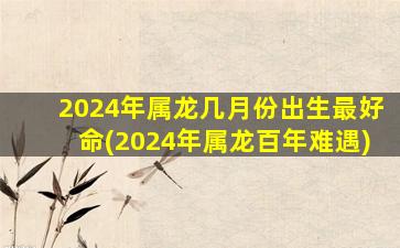 2024年属龙几月份出生最好