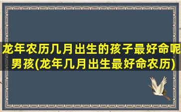 龙年农历几月出生的孩子