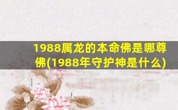 1988属龙的本命佛是哪尊佛(1988年守护神是什么)