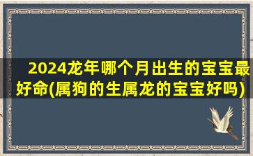 2024龙年哪个月出生的宝