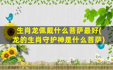 生肖龙佩戴什么菩萨最好(龙的生肖守护神是什么菩萨)