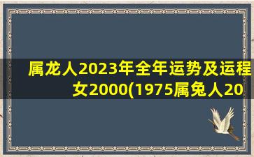 属龙人2023年全年运势及运