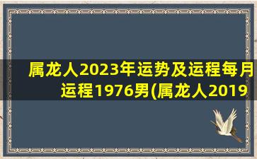 属龙人2023年运势及运程每