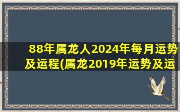 88年属龙人2024年每月运势