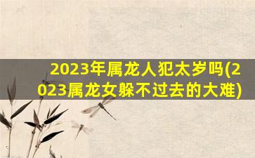 2023年属龙人犯太岁吗(