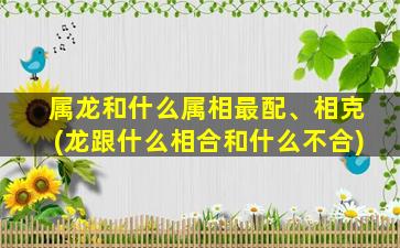 属龙和什么属相最配、相克(龙跟什么相合和什么不合)